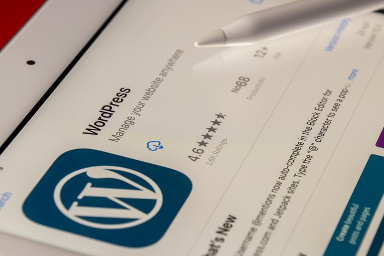 apa itu WordPress